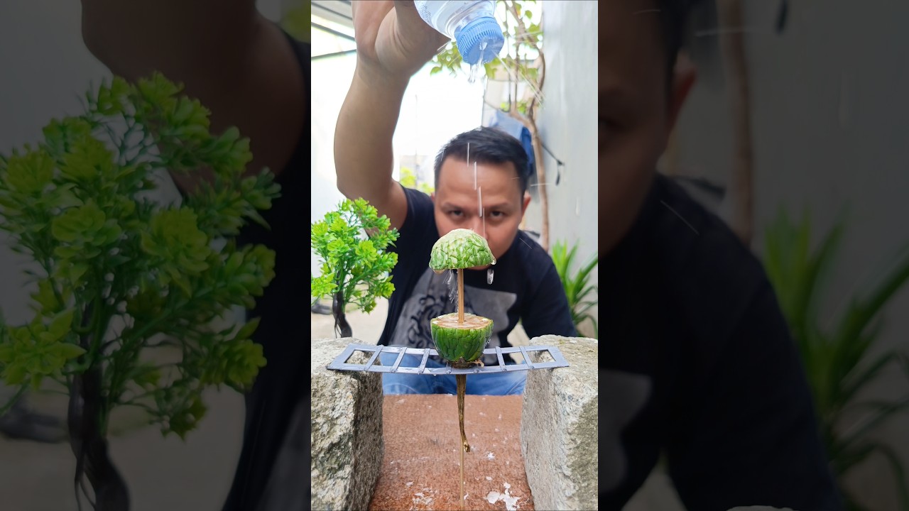 Wow "🤩,,very fast creative video #photography #kreatif #funny