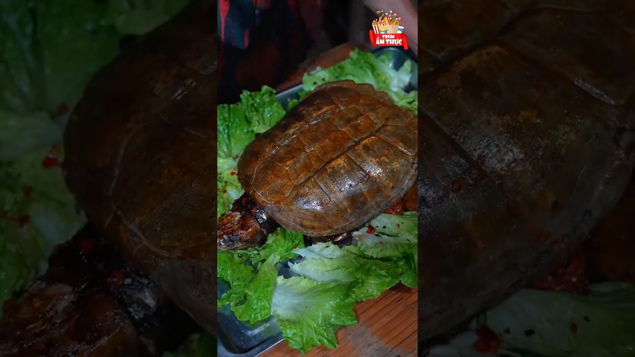 Tiểu Châu đem rùa ngoạm làm món ngon  #trumamthuc #food #cooking