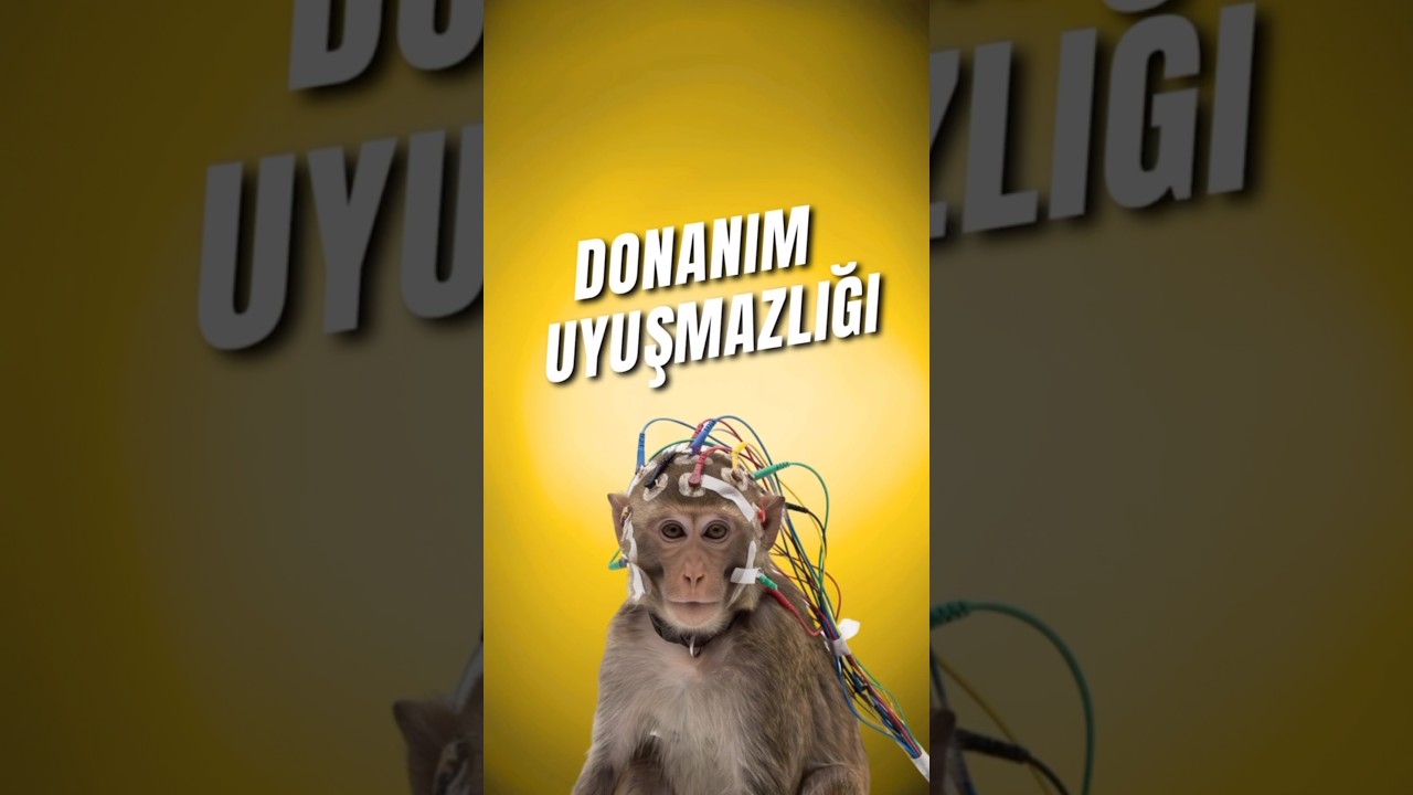 İnsan Beyni Başka Bir Canlıya Nakledilebilir Mi?