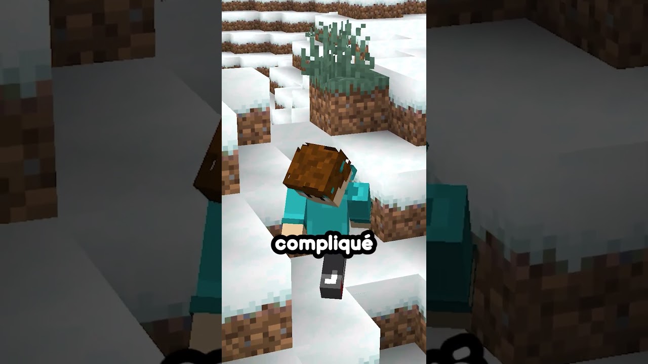 Quels sont les 3 items les plus rares sur Minecraft ? #minecraft #pourtoi