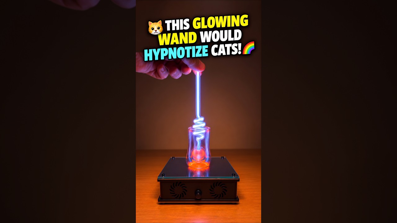 🐱 THIS GLOWING WAND WOULD HYPNOTIZE CATS! 🌈