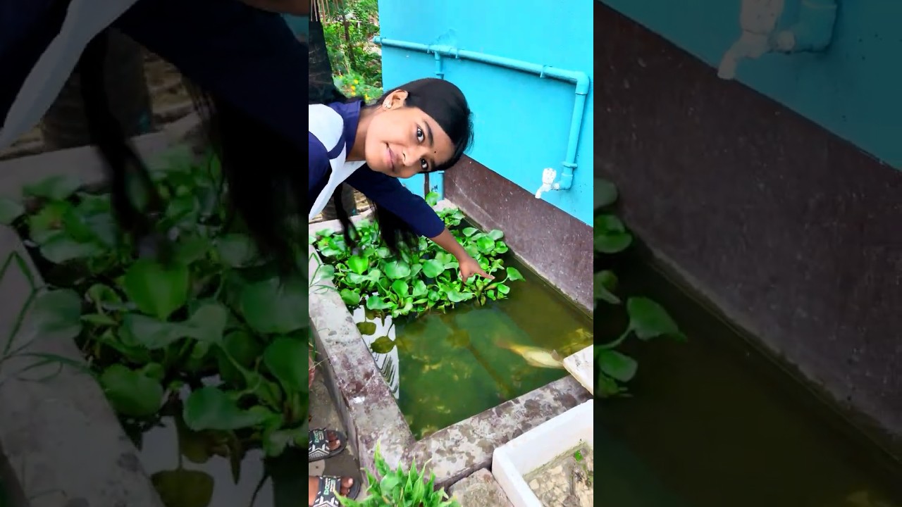 minipond main yea machli aya khase🐟🤔(1278) fishing video in village #fish