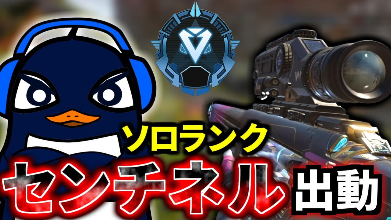 【ソロランク】久々にセンチネRu出動！ RPはスナイパーで盛る | Apex Legends