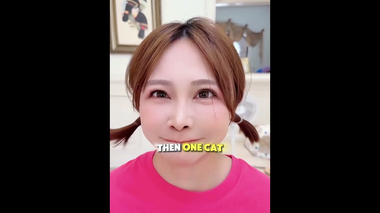 These Cats Have An Unusual Owner😳