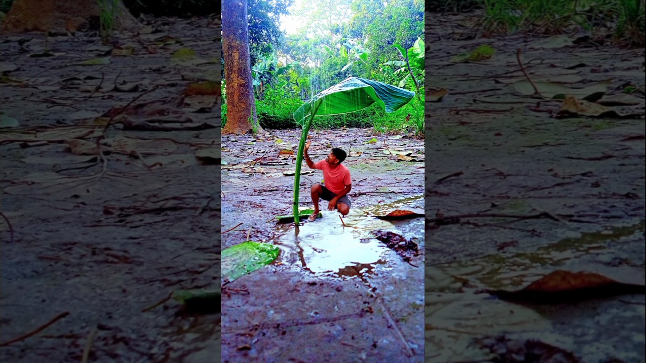 Creative photography. . . . #creative #photography #reels #viral #youtubeshorts