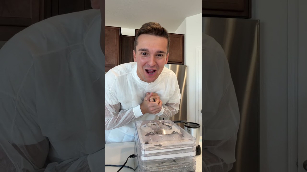 Turning my wife's placenta into pills