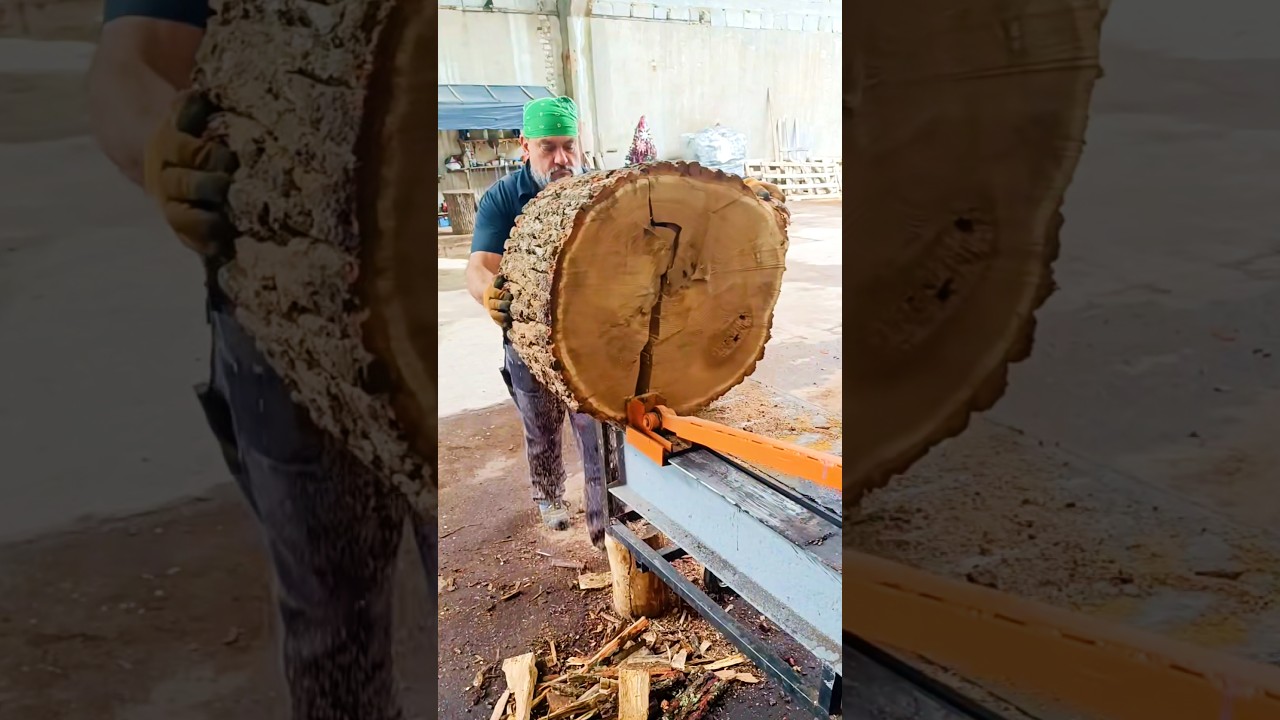 Extreme Log Splitting Skills 🔥 #shorts #machine