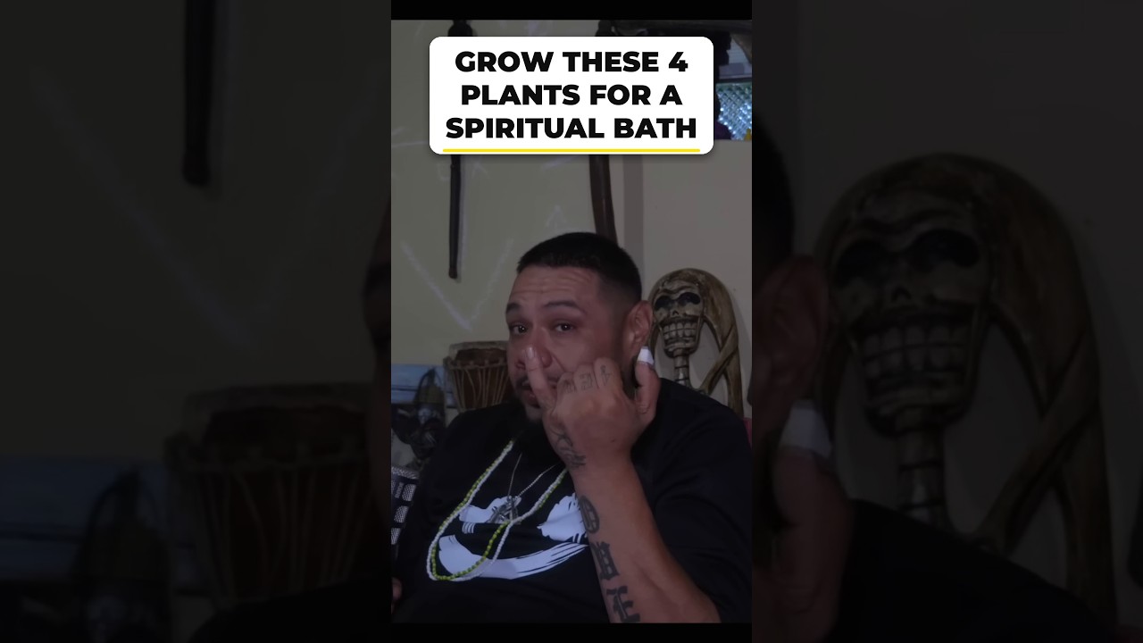 4-Plant Spiritual Bath