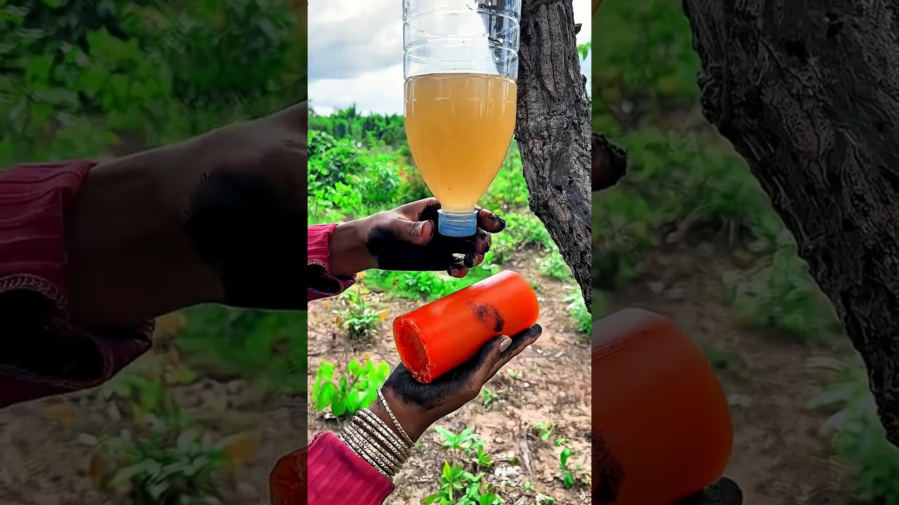 Survival Skills Mom Shows How to Make Soap and Water in forest #campping #outdoors #useful
