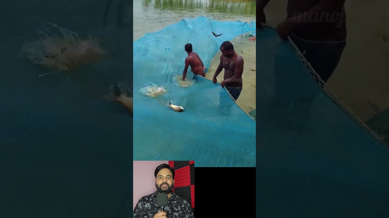 मछली मंडी में मछलियों का सैलाब, खरीदार नहीं मिल रहे 😢