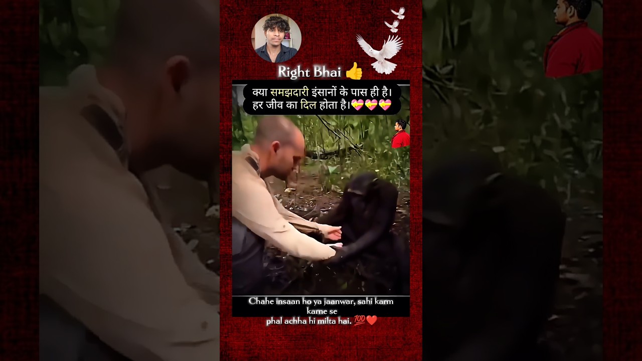 Insaan Ho Ya Janwar, Achhe Karm Ka Phal Milta Hai ❤️ | Heart Touching #Shorts