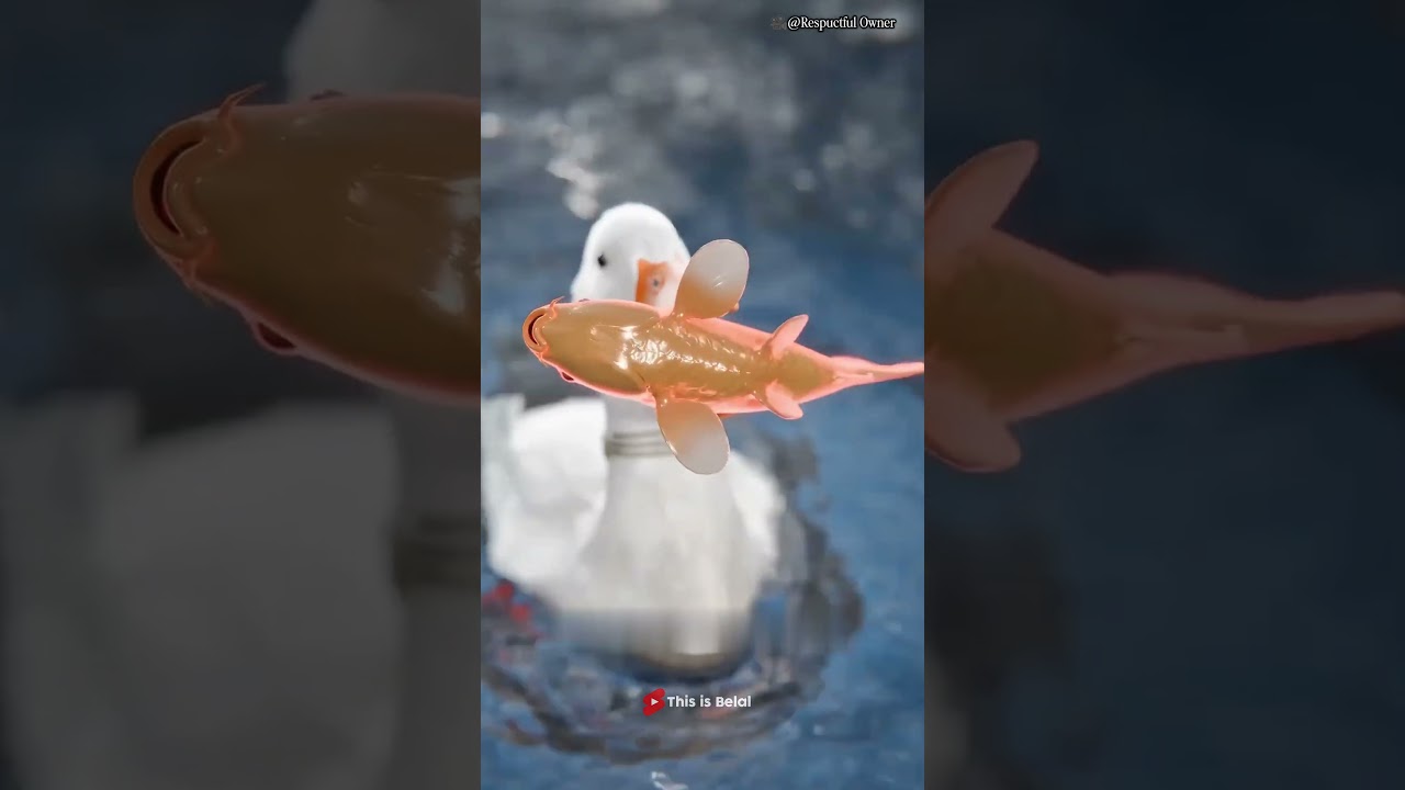 🐦 This Bird Helped Fishermen Catch Fish for Centuries!