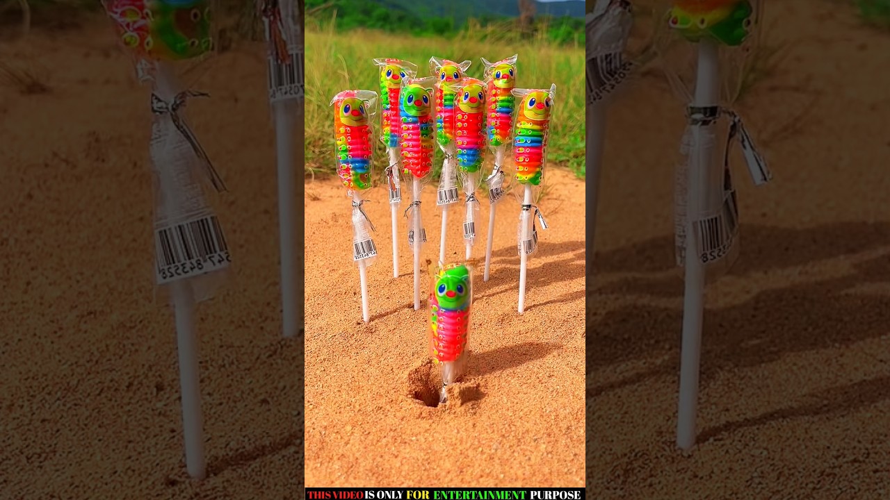 Survival Skills: SMART idea and USEFUL#bushcraft#camping#outdoors#survival
