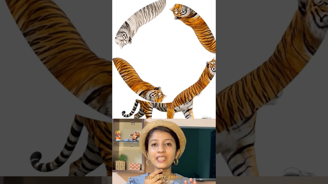 Match the 🐯 #trending #funny #challenge #shorts #shortsfeed #games #puzzle #tiger #speed #viral