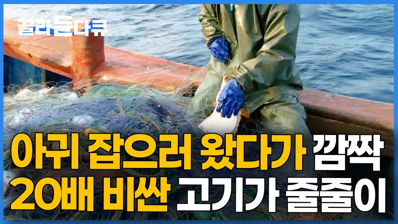 한 마리가 아귀 20마리.. 근데 계속 올라온다. 예상 못한 대박에 신난 선장님 반응｜극한직업｜#골라듄다큐