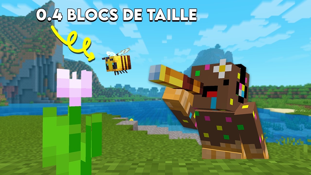 J'ai ajouté LA VRAIE TAILLE des MOBS sur Minecraft..