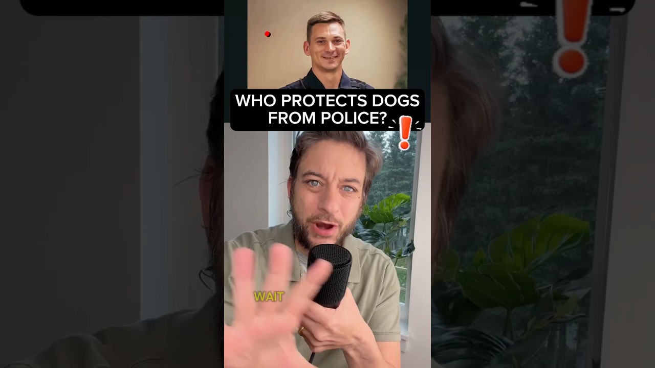 Wait - are you serious?