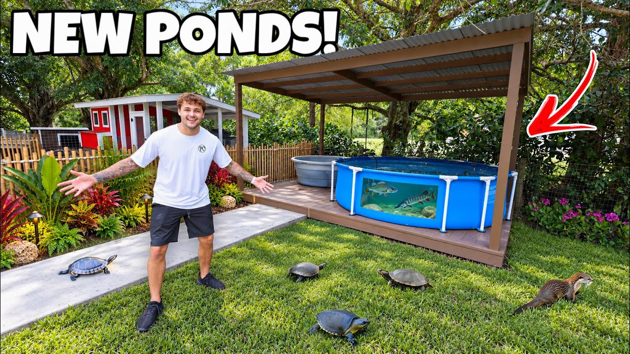 Building EMERGENCY POND for FISH & TURTLES in My Backyard!!