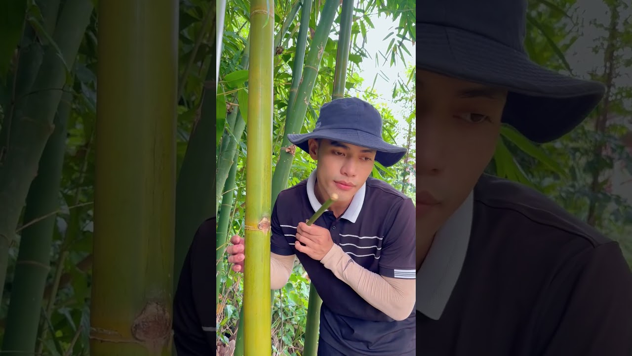 Survival Skills: How to Get Water from a BAMBOO Tree 💧🌍#ohd #survival #camping #bushcraft #skills