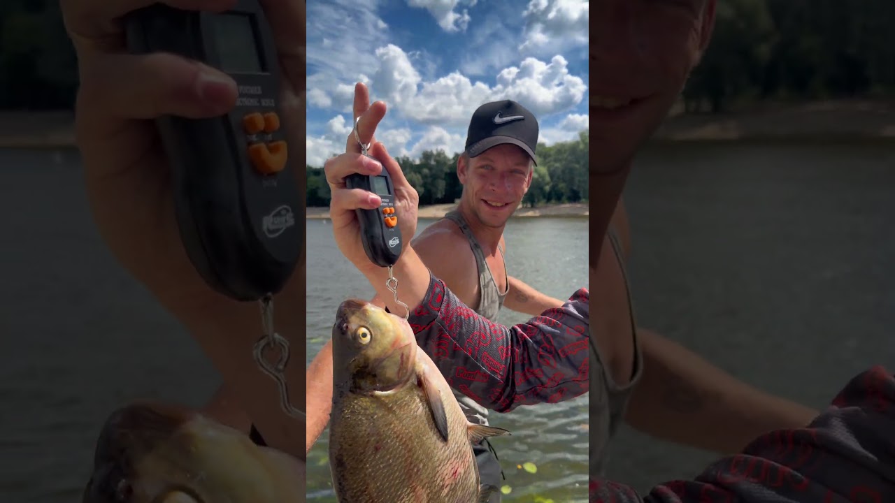 В поисках речного монстра🎣🎣🎣 #fishing #рыбалканафидер #рыбалка #рыбалканаозере