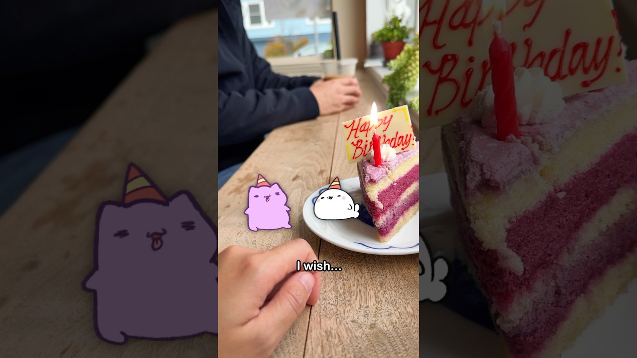 I am 26 today! ❤️ #animation #cat #cute