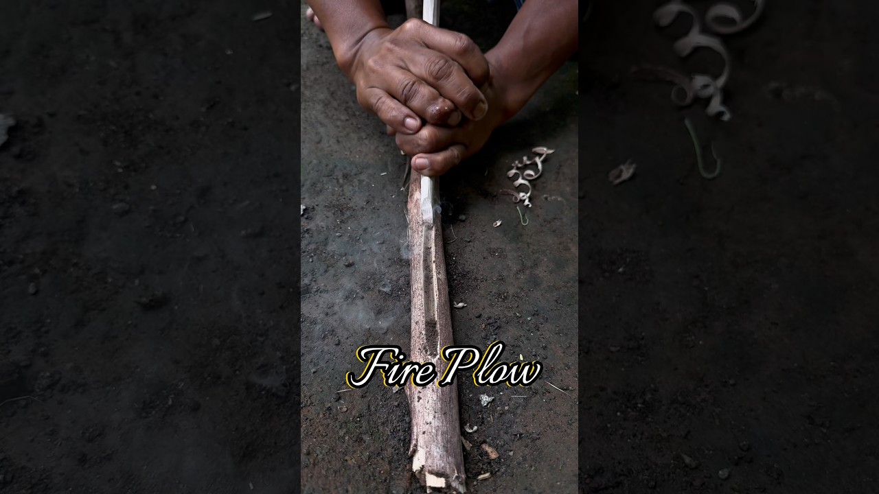 Fire plough #primitivefirelighting #survival