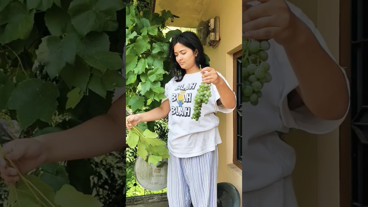 क्या तुमने इसकी चटनी खाई है #food #trending #shorts #youtubeshorts #youtubevloggers #maakirasoi