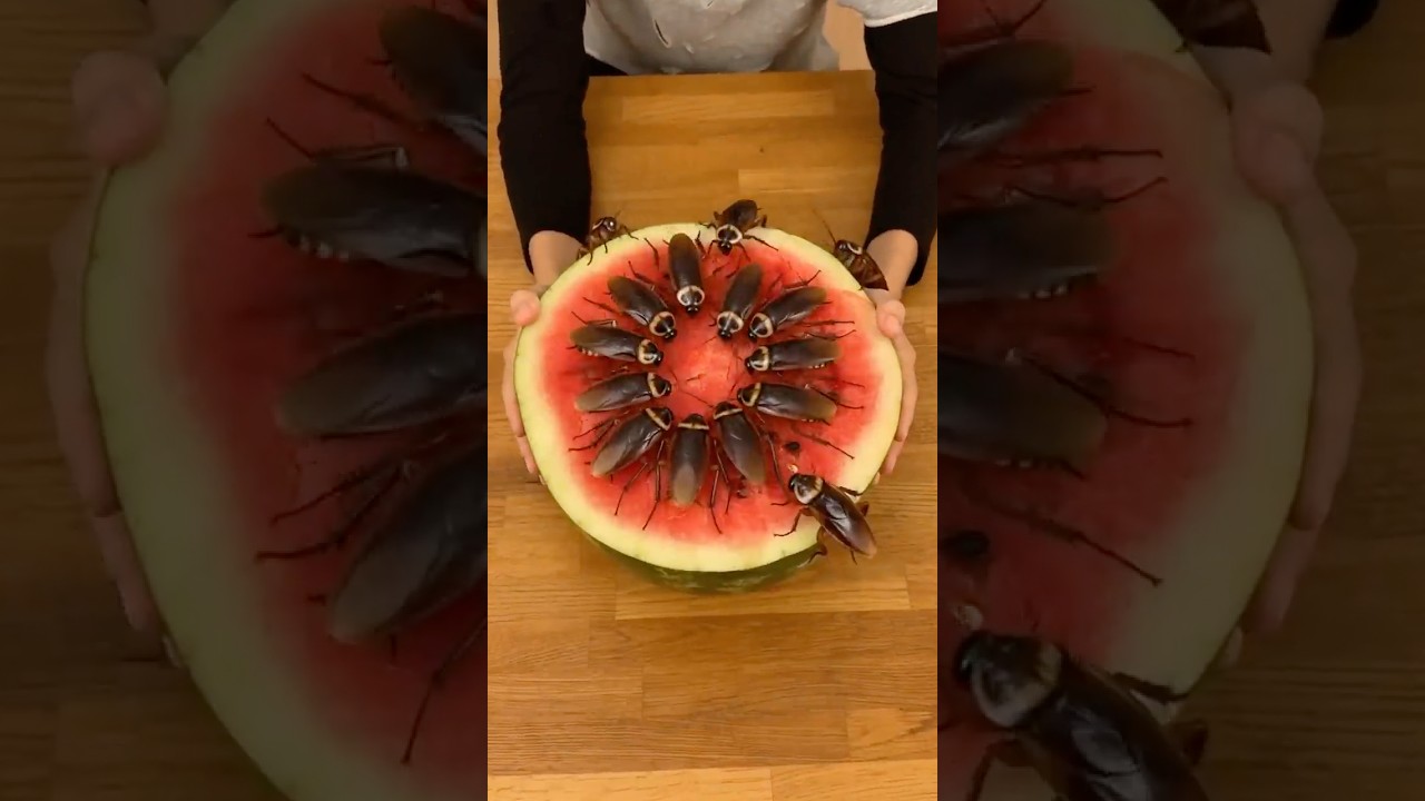 Poor BF vs Rich GF Making Watermelon Ice Cream 🍉🍦😋