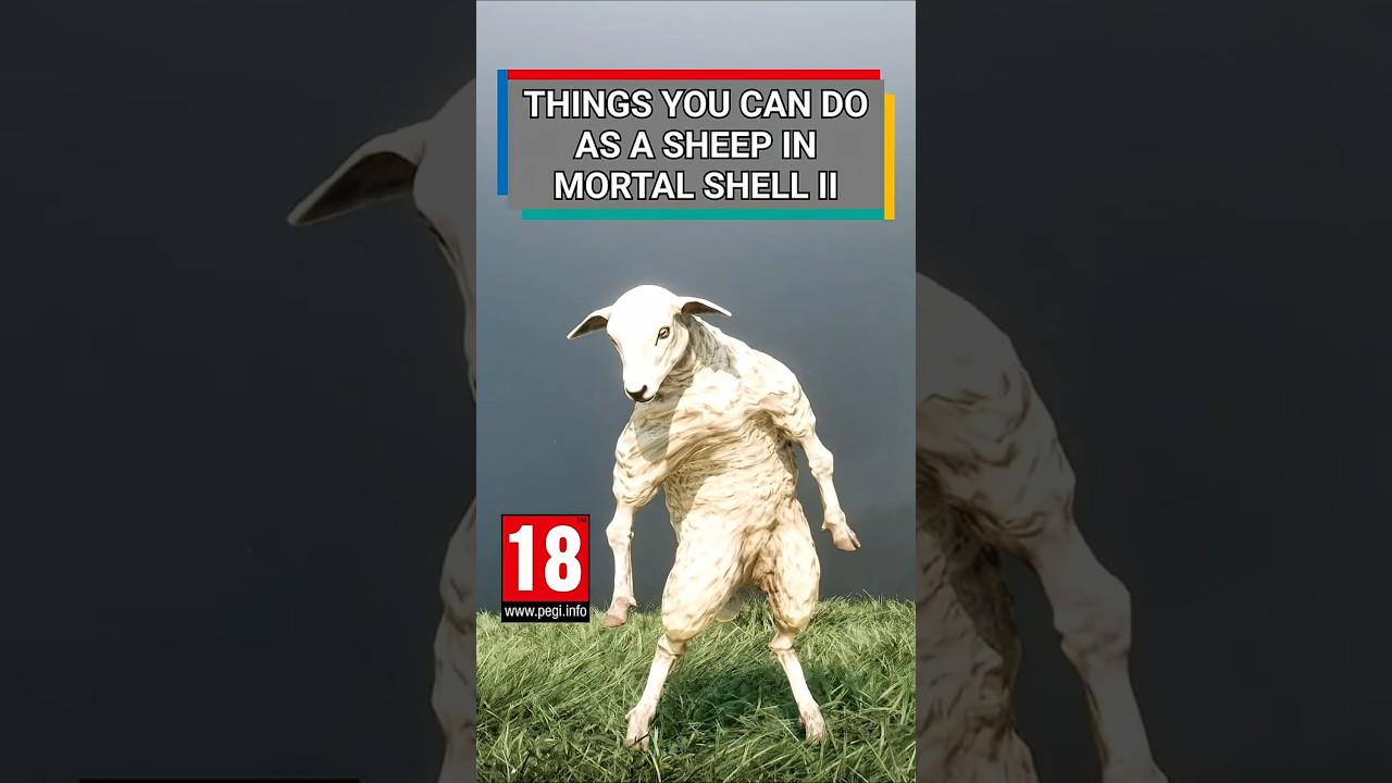 PLAYING AS A SHEEP