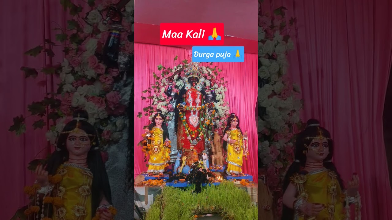 Durga puja patna/ family vlog/ #durgapuja #familyvlog #navratrispecial