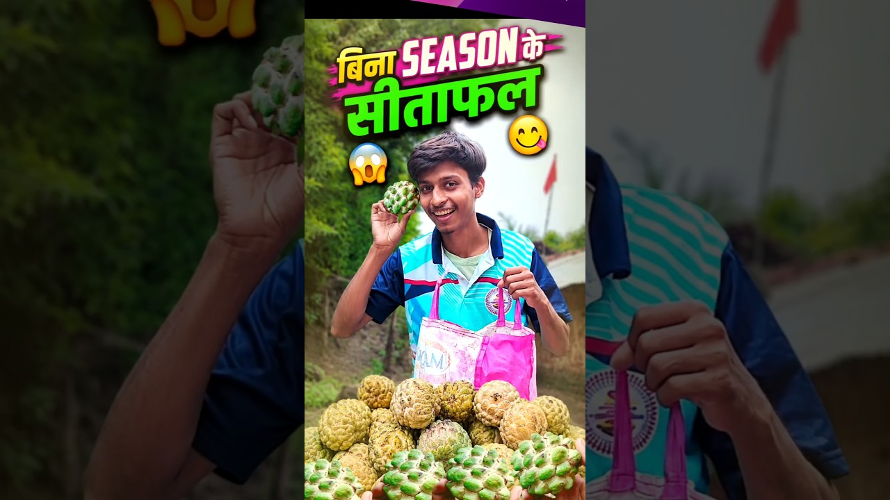 Bina Season Ke Itne Sitafal 😱 | #minivlog #sitafal #CustardApple #fruitcutting #shortvideo