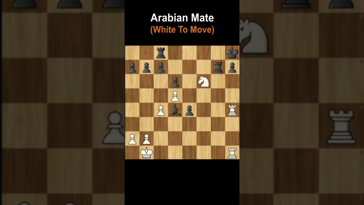 You Wouldn't Escape The Arabian Mate | Mate in 3 Moves | Puzzle 362  #shorts #youtubeshorts #viral
