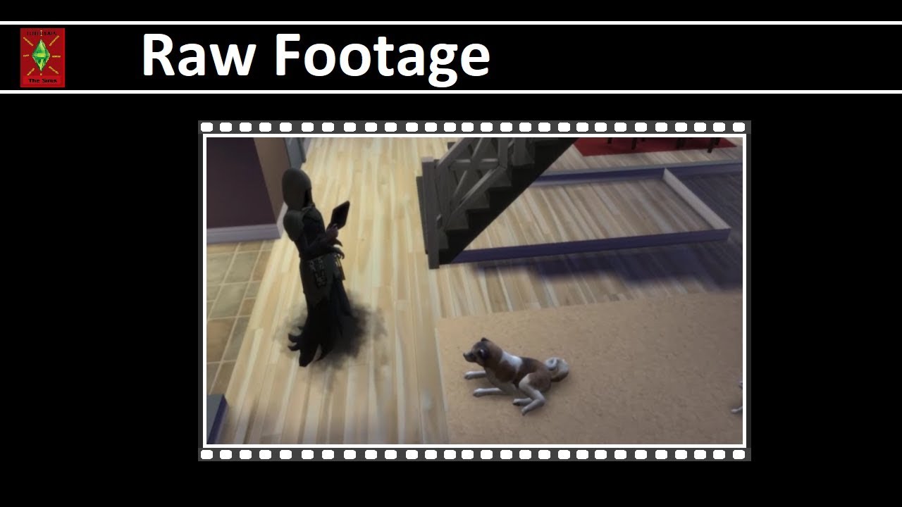 Raw Footage: Pets' old age death in The Sims 4