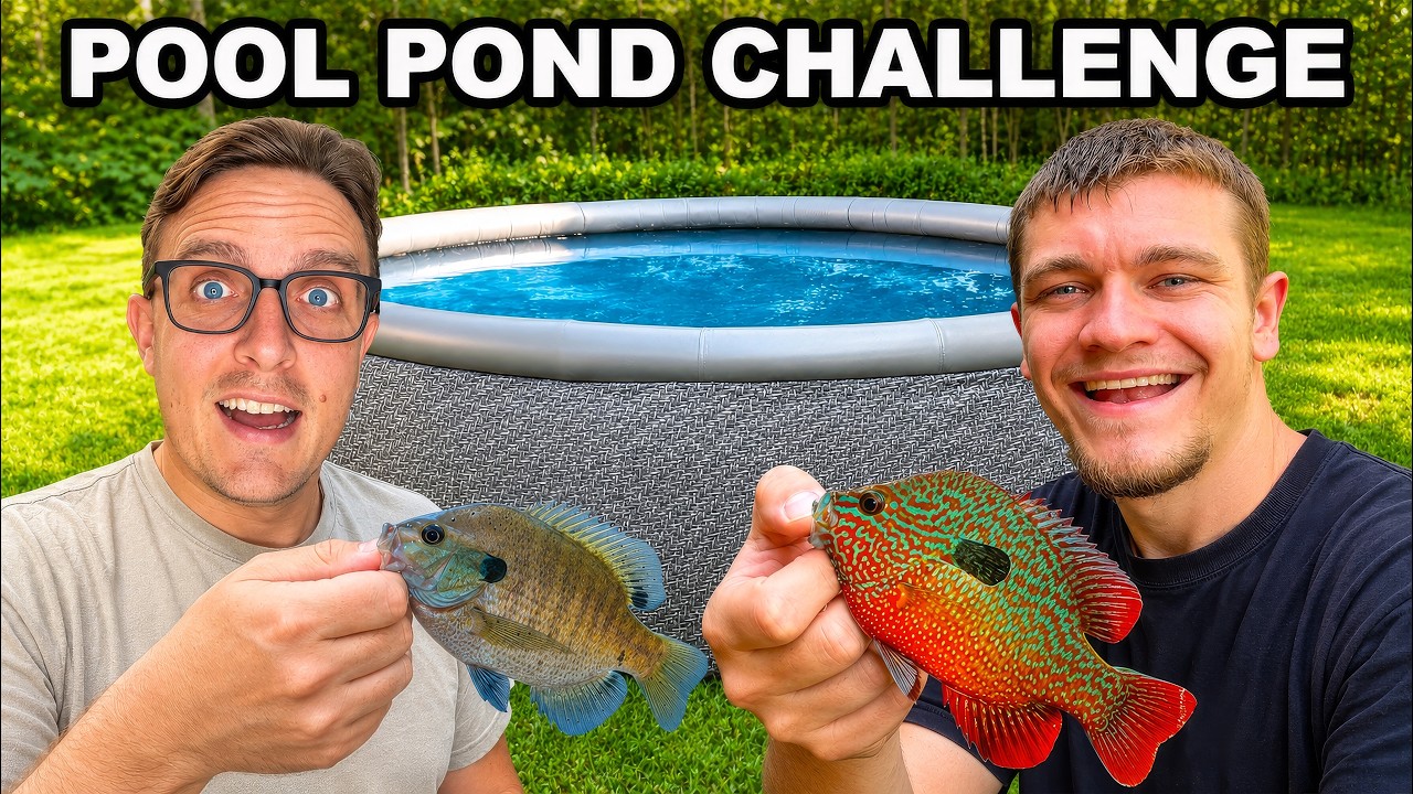 Build Your Own Pool Pond Challenge! (1v1)
