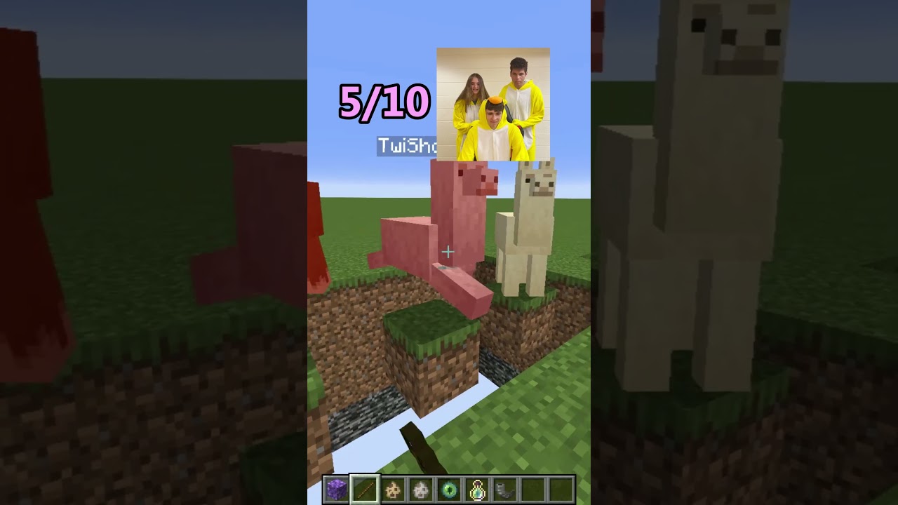 Minecraft: Who did BRAINROT the best? 🤔 #Shorts