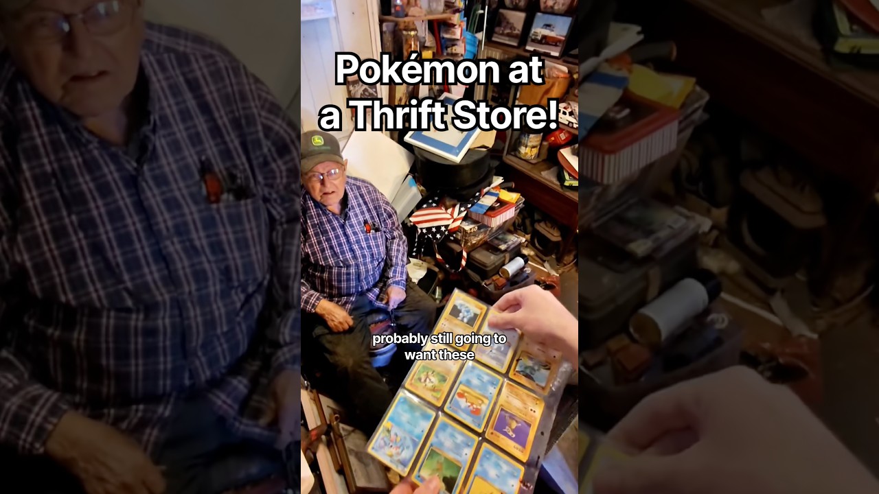 Looking for Pokémon & found a friend! #pokemon #pokemoncards #pokemontcg #pokemoncommunity #shorts