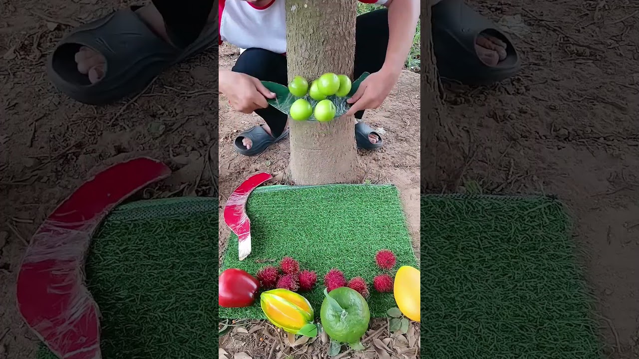 Funny Fruit Harvesting ChallengeEat Fresh Fruit Funny Fruit  #bushcraft #camping #outdoors