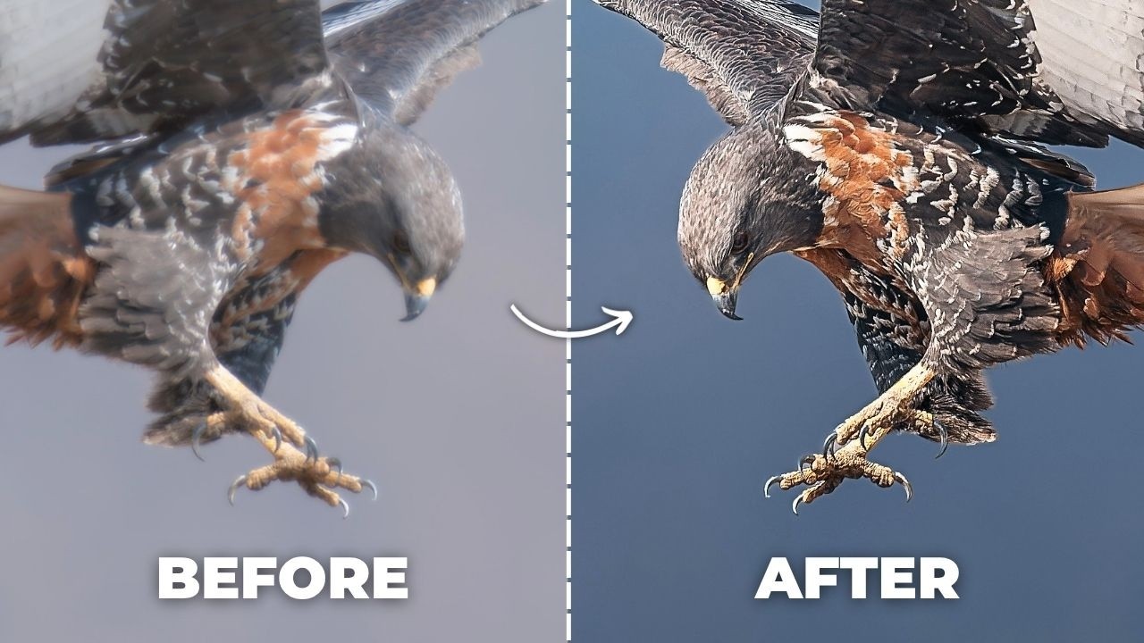 This Editing Workflow Produces Maximum Sharpness