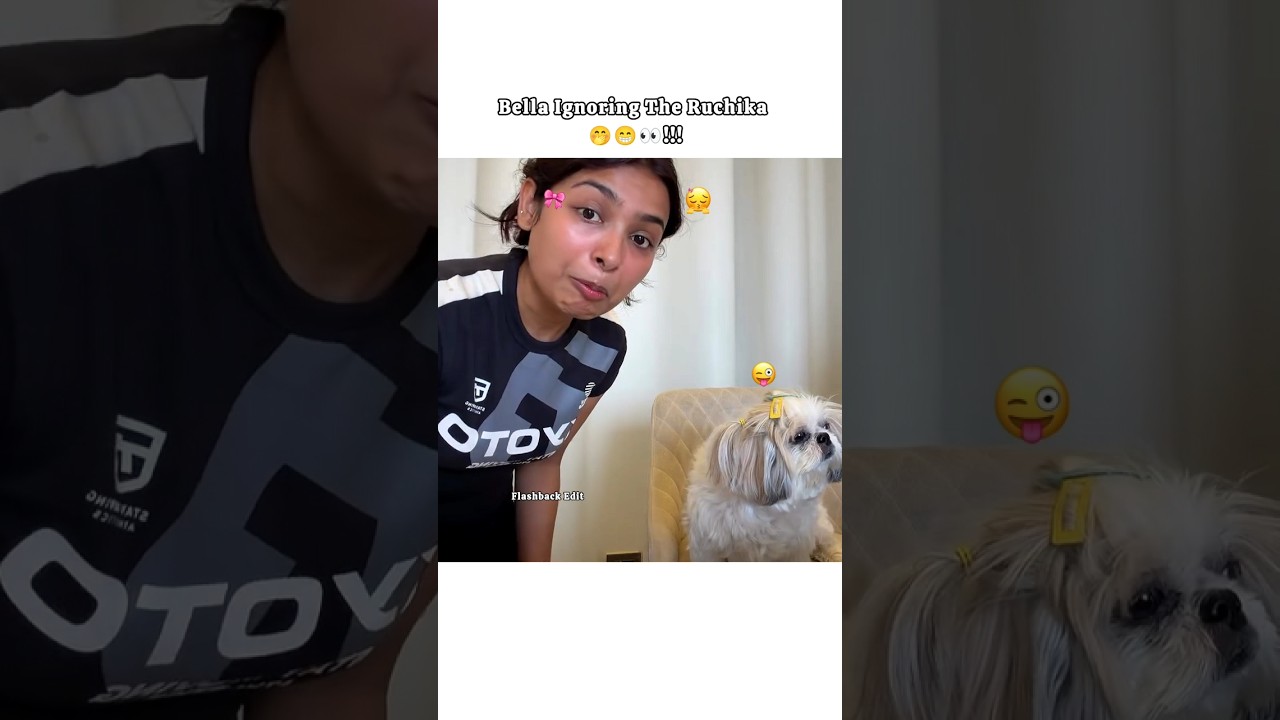 bella ignoring ruchika 👀❤!! #shorts #shortsfeed @triggeredinsaan