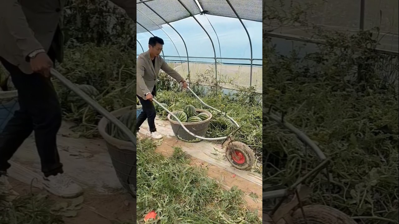 The Secret to Moving Heavy Baskets Fast