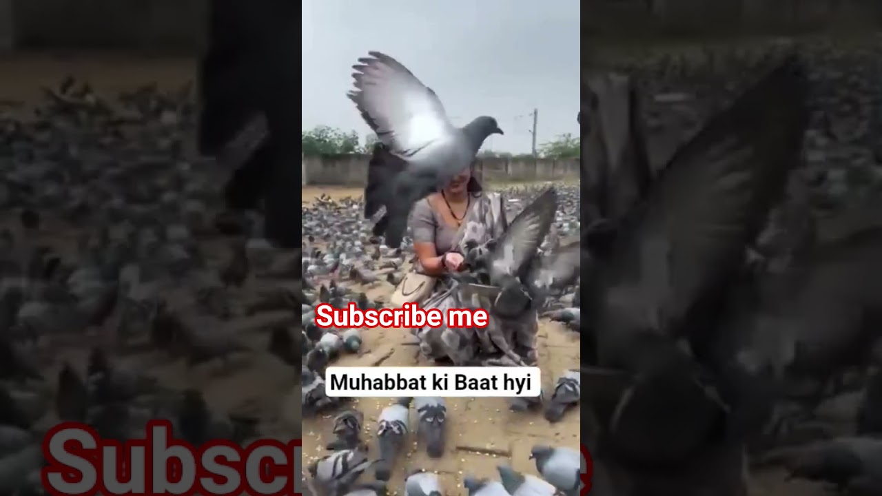 #love #entertainment #live #shorts