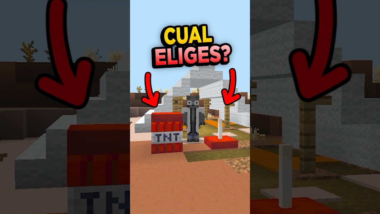 Elige una SILLA