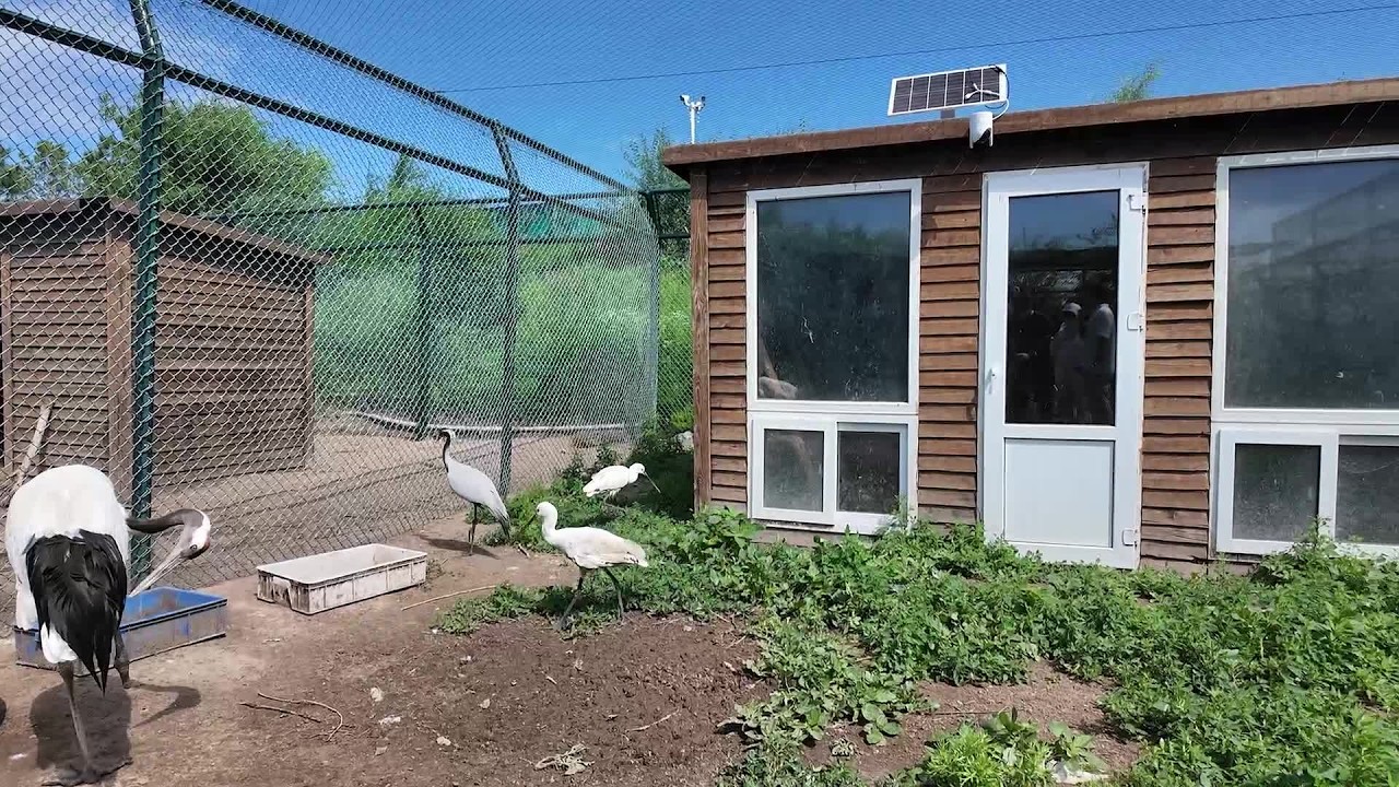 Inside a wildlife rescue and protection center by Hulun Lake