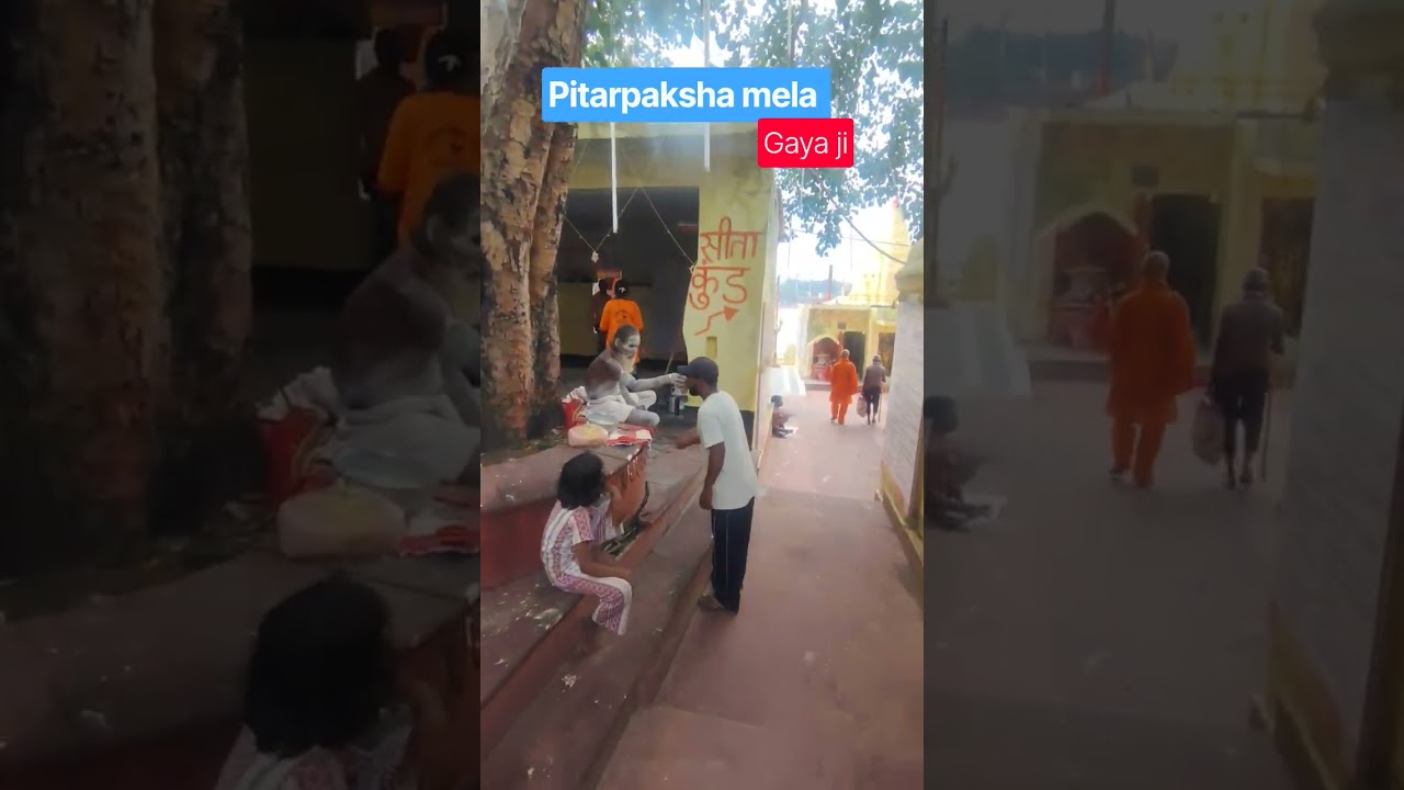 Gaya Ji Pitrupaksha Mela 2026 🙏 | Vishnupad Temple | Pind Daan #vishnupadtemple #pitarpaksha2026