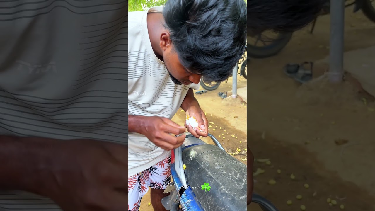 “குஞ்சியின் உயிரை காப்பாற்றிய அந்த நொடி… 🥺🐥”#petscorner #petshorts #petsvlog #chicks #petshop #yt
