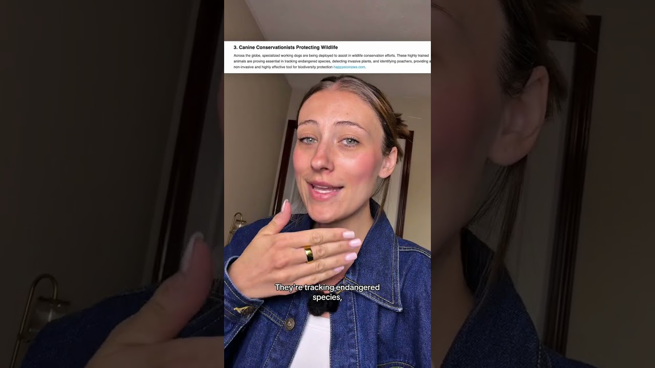 These news stories will give you a dopamine boost 🥰 #news #happy #goodnews #socute #gnomipartner