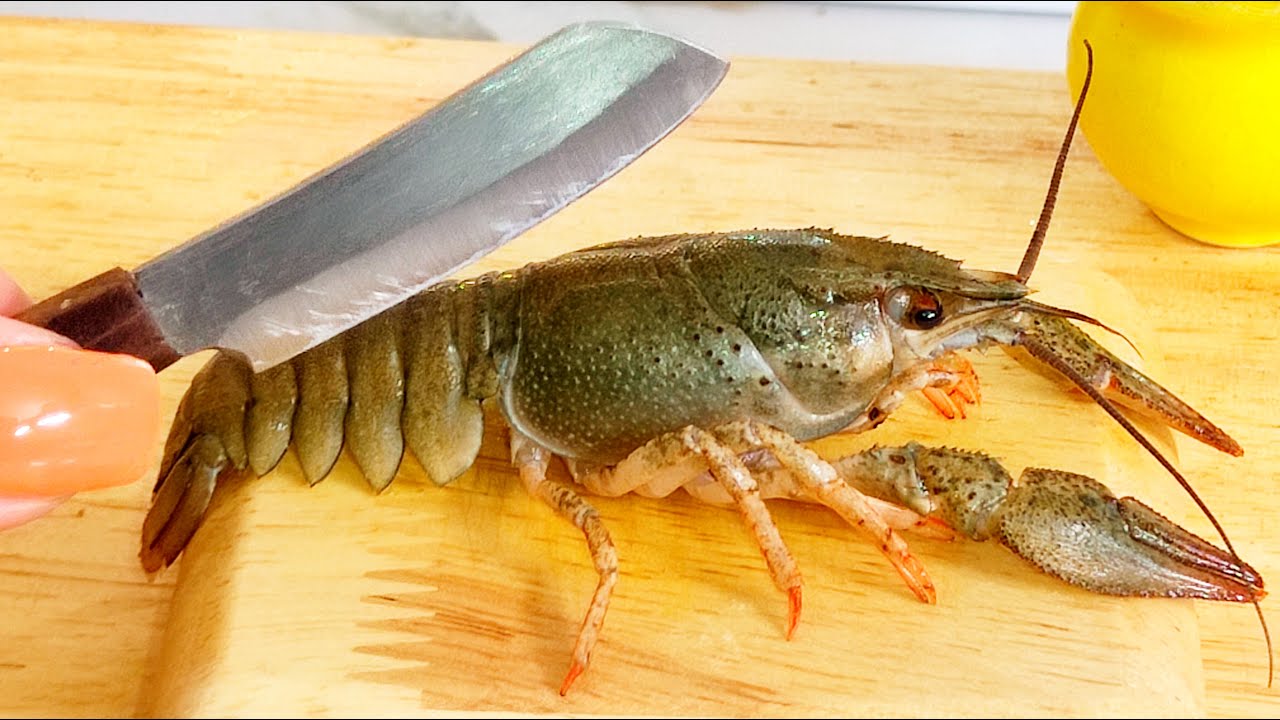 Miniature steamed shrimp recipe in my miniature kitchen🦐 mini cooking food