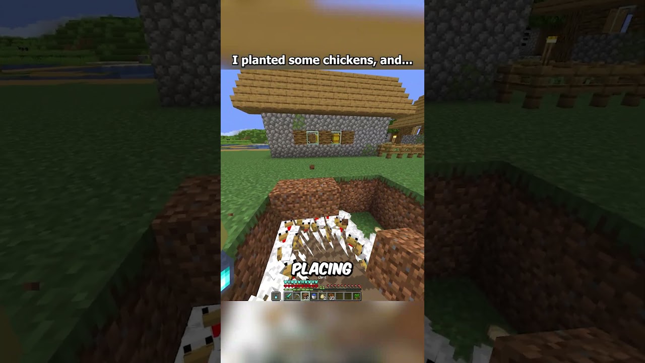 CHICKEN the SOUND 🐔