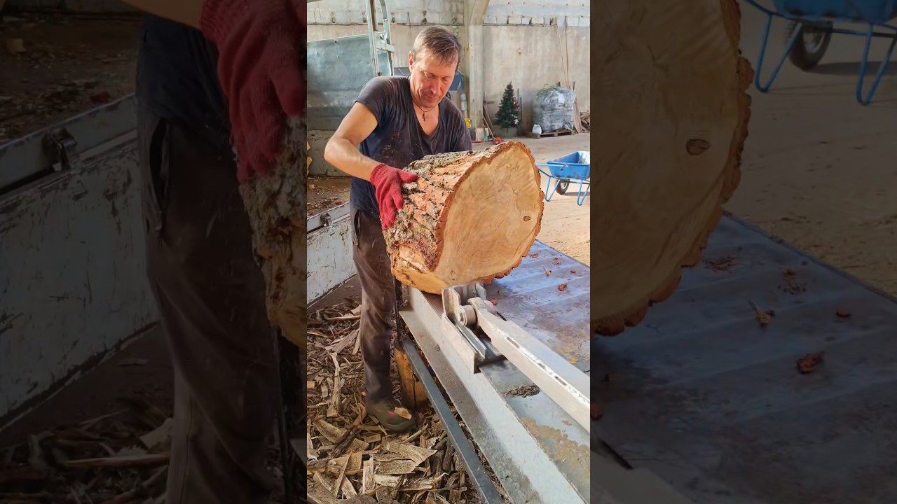 INSANE Log Splitting Skills You Must See 😱 #shorts #woodworking #woodsplitter