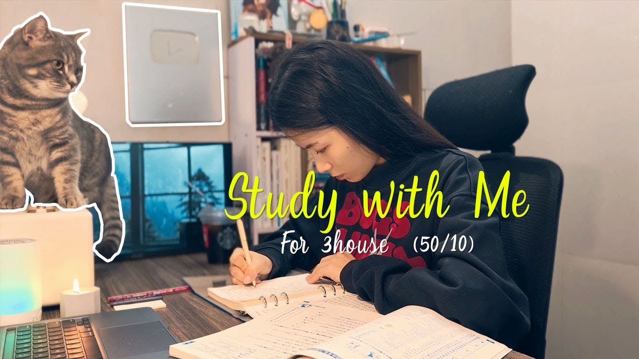 Study With Me 4K | 5 Hours of Productivity with Pomodoro (50/10) & Gentle Rain - Cat cute